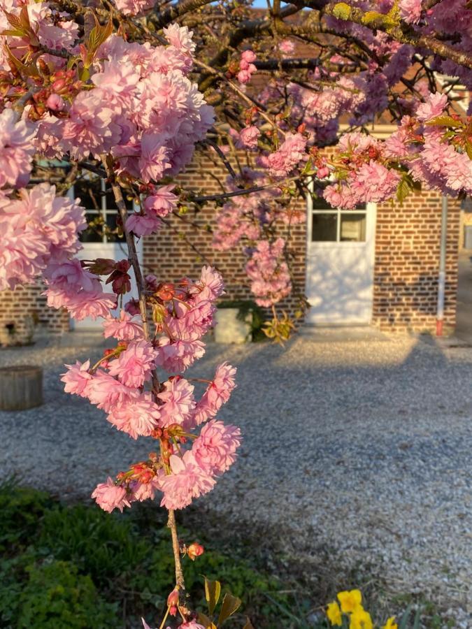 Le Domaine Des Saules Villa Richebourg  Bagian luar foto
